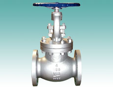 Globe Valve, Finishing : Polished