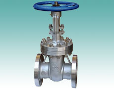 Stainess Steel Gate Valve
