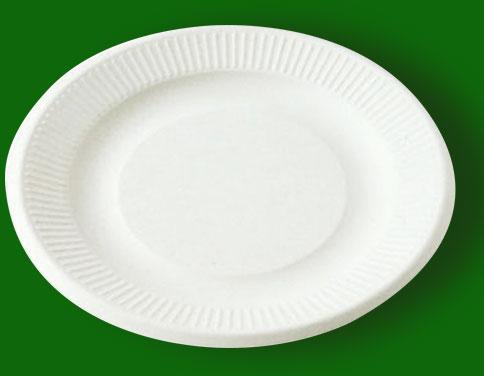 Sugarcane Bagasse Seven Inch Thermocol Plates 12inch