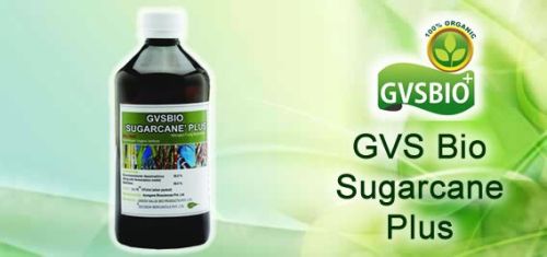 GVSBIO