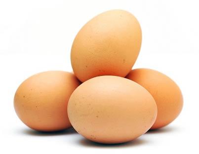 Poultry Eggs, Packaging Type : Paper Trays