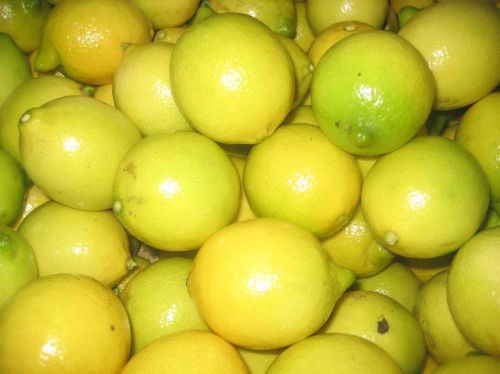 Egyptian Fresh Lemon