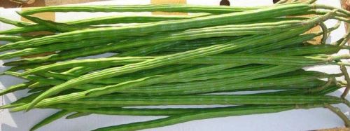 Fresh drumsticks, Application : Cooking