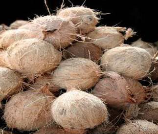 Husked Coconut