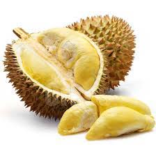 Organic Fresh Durian Fruit, For Cooking, Home, Hotels, Specialities : Good For Health, Good For Nutritions