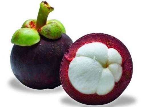 Fresh Mangosteen, Feature : Naturally Grown