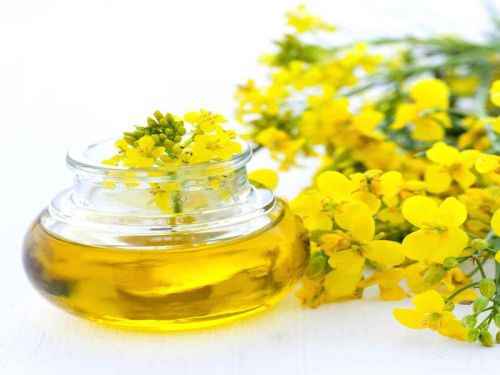 Rapeseed oil, Packaging Type : Bottle