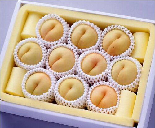 Expanded Polyethylene Foam Net Extruder, Capacity : 25-50kg/hr