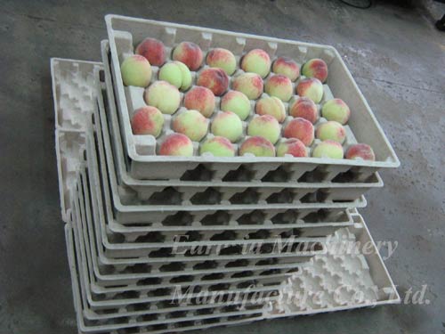 Tray Production Line, Dish Product Line, Brand Name : Longkou Fuchang