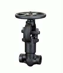 Forged Steel Cryogenic Globe Valve
