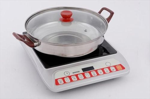 Hard Plastic Induction Cooker, Model Number : VTL3031