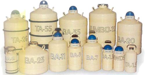 Liquid Nitrogen Containers