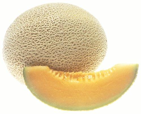 Fresh Muskmelon