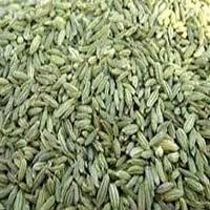 Fennel Seeds