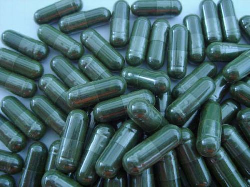 Spirulina