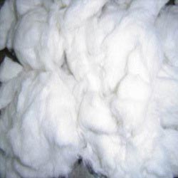 Raw Cotton