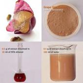 Grape Skin Extract, Brand Name : Nanjian