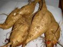 Kudzu Root Extract, Brand Name : Nanjian