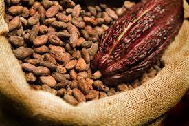 Cocoa beans, Packaging Size : 5-25kg