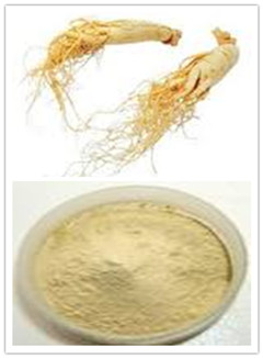 Ginseng Extract