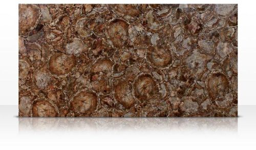 Round Petrified Wood Semi Precious Slab