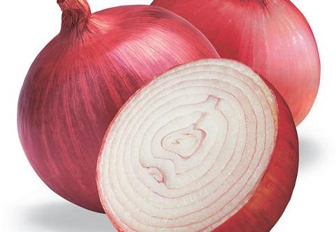 Onion