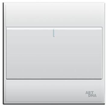 ART DNA E3 Gang Switch