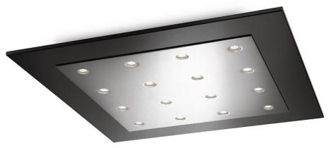 Glass PHILIPS 407421116 Ceiling Light