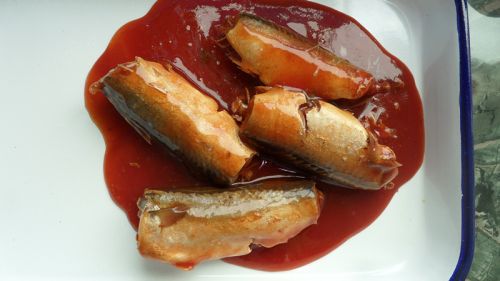 Canned Mackerel, Brand Name : customer's brand