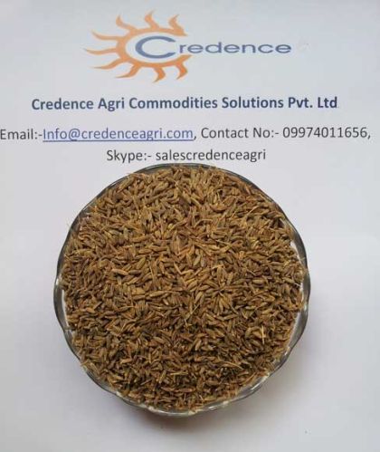 BROWN cumin seeds