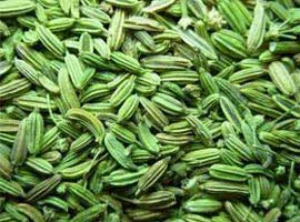 Fennel Seeds, Certification : ISO
