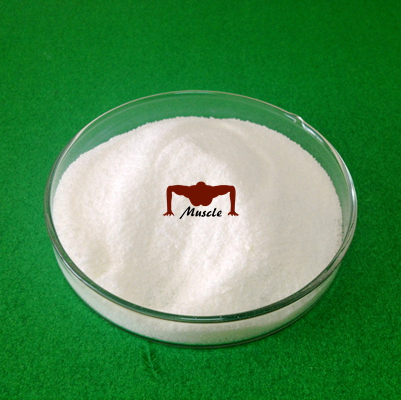 Ycgsales03@ycphar.com Mestanolone Steroids