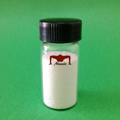 Ycgsales03@ycphar.com Nandrolone Phenylpropionate Steroids