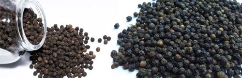 Black Pepper