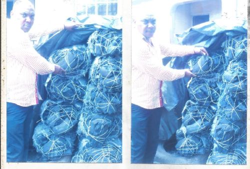 Hardwood charcoal, Packaging Type : Back