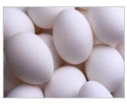 Chicken Eggs