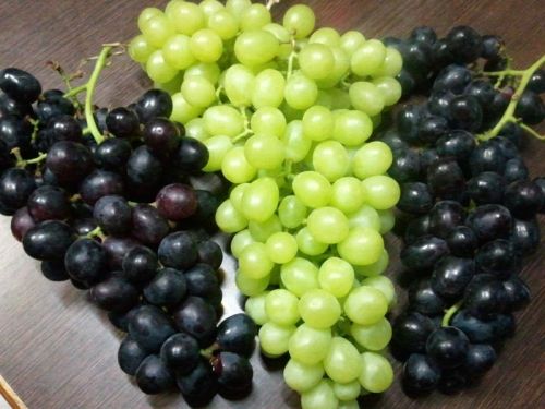 Fresh Grapes