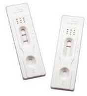 Luteinizing Hormone Test Kit