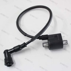 Bike Ignition Coil