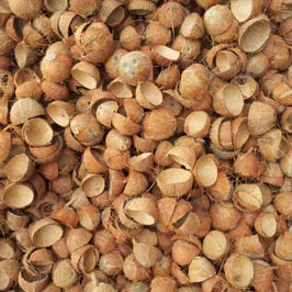 Coconut shell