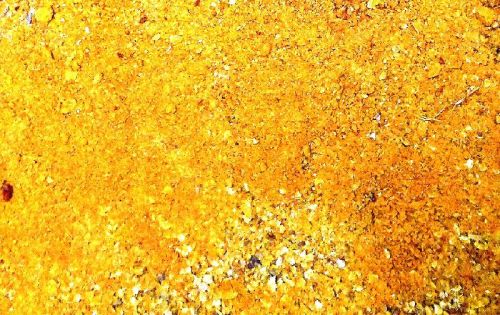 Organic Turmeric Roots Fingers Powder With More Than 4% Curcumin Conc