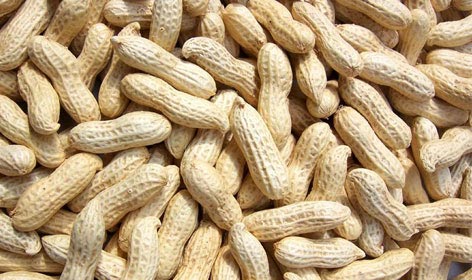 Organic Shelled Groundnuts, For Cooking, Namkeen, Oil Extraction, Snacks, Packaging Type : Jute Bag