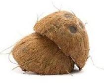 Coconut Shell