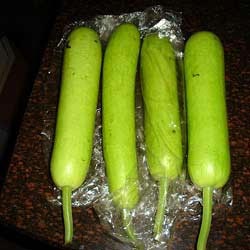 Organic Fresh Bottle Gourd, For Non Harmful, Nutritious, Packaging Size : 5kg