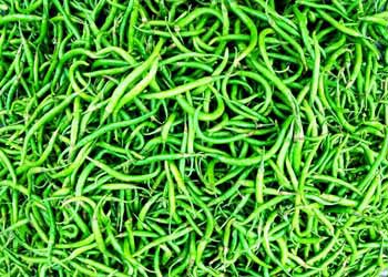 Organic Fresh Green Chilli, Feature : High Nutrition Value