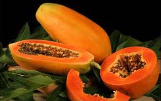 Organic Fresh Papaya, Shelf Life : 1week