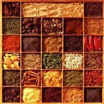 Indian Spices, Shelf Life : 1year