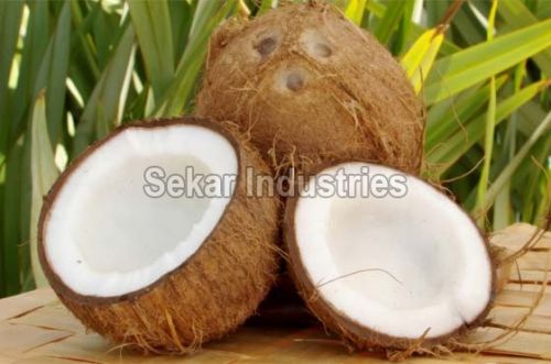 Fresh coconut, Grade : A Grade