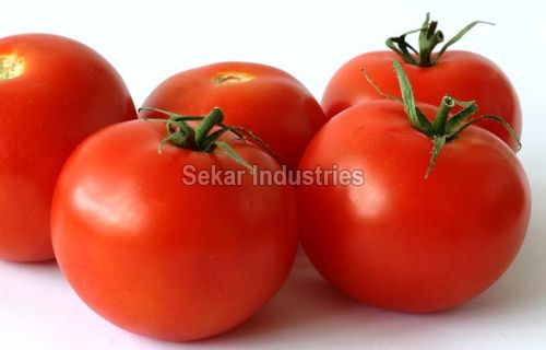 Fresh Tomato