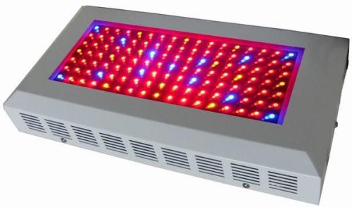 Decorative Bamboo Rattan Lamp